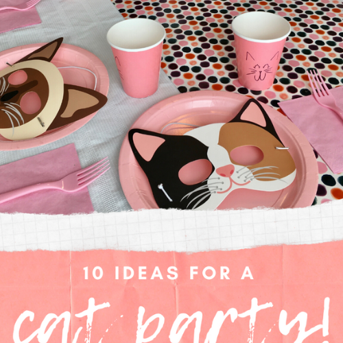 Cat Birthday Party Decorations Archives Brooke Grangard